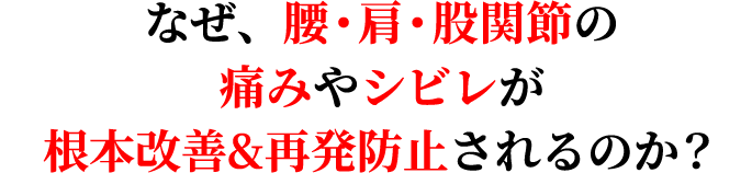 なぜ、腰・肩・股関節の痛みやシビレが根本改善&再発防止されるのか?